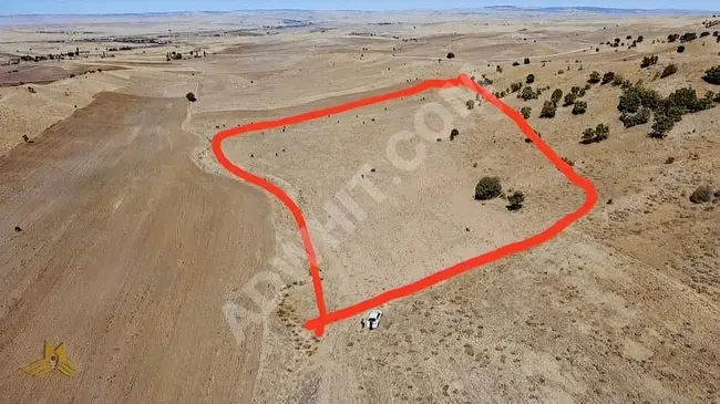 Announcement for a plot of land for sale<br/>Area: 7,814 m²<br/>Price: 520,000 Turkish Lira<br/>in KIRIKKALE BALISEYH