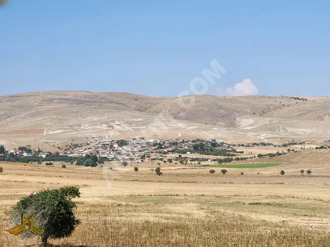 Farmland of 9200 square meters in Afyonkarahisar, Center, Kizildag, only 210,000 Turkish liras