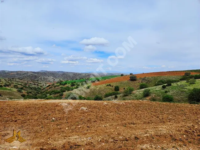 A land area of 8676 square meters for only 360,000 Turkish lira in Kırıkkale, Eroğlu neighborhood