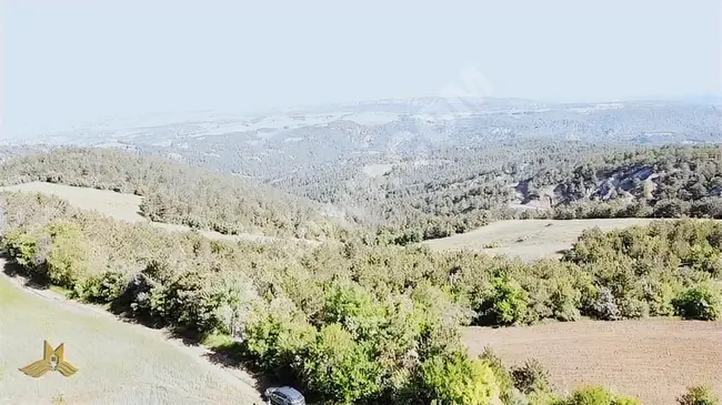 Agricultural land directly on the road, considered an oxygen reservoir with an area of 6275 m² in Bolu, Göynük district, Kızıl Koyu locality