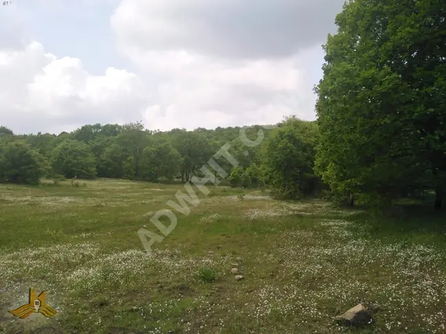 Bursa ORHANELİ GAZİOLUK neighborhood. A 9124 square meter field near the village with a road