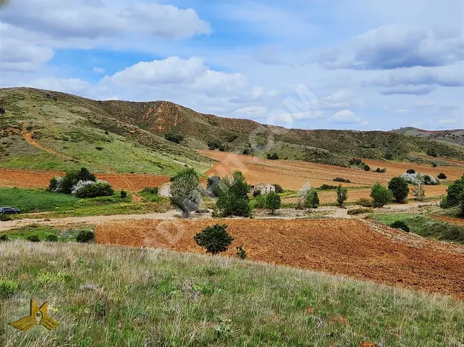 A 1401 square meter agricultural land, providing electricity, water, and access in KIRIKKALE KESKİN EROĞLU MAH