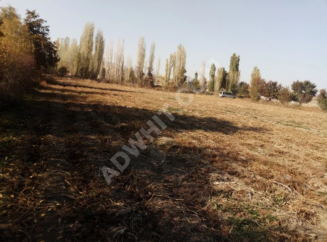 Investment land in the town of Solon in Afyon