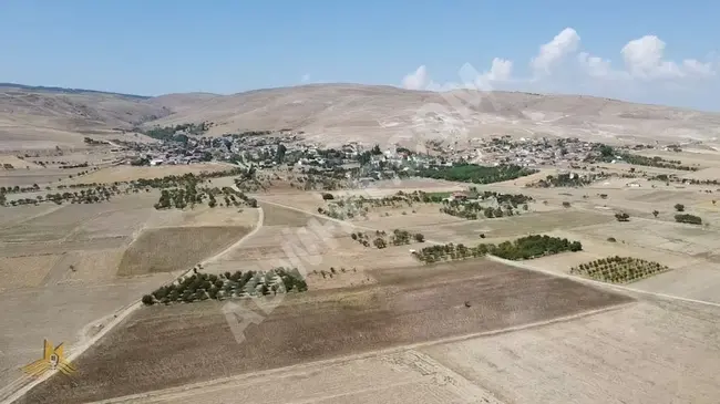 Farmland of 9200 square meters in Afyonkarahisar, Center, Kizildag, only 210,000 Turkish liras