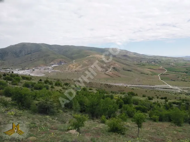 A farmland including electricity, water, and a road with an area of 39,224 square meters in Ankara near the center of Kalecik town