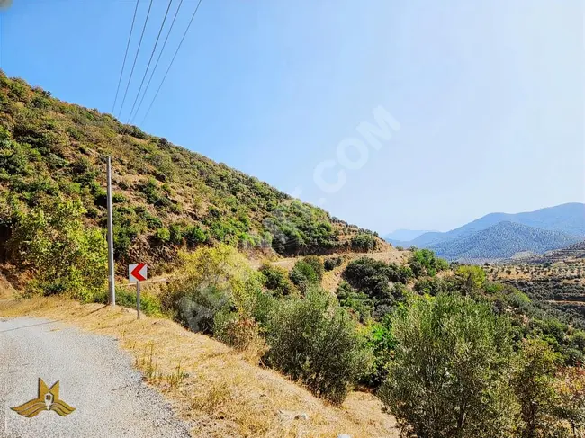 Plot of land 4795 square meters next to the village with electricity and water in Izmir Odemis, the cheapest place