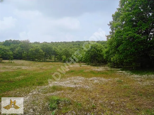 Bursa ORHANELİ GAZİOLUK neighborhood. A 9124 square meter field near the village with a road