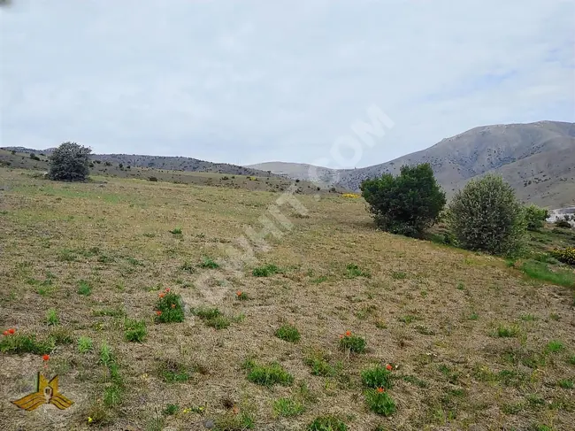 A farmland including electricity, water, and a road with an area of 39,224 square meters in Ankara near the center of Kalecik town