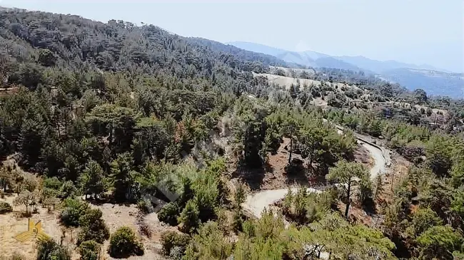 A fruit garden with an area of 16,868 square meters in the Uzunçam area of Aydin Nazilli, has water