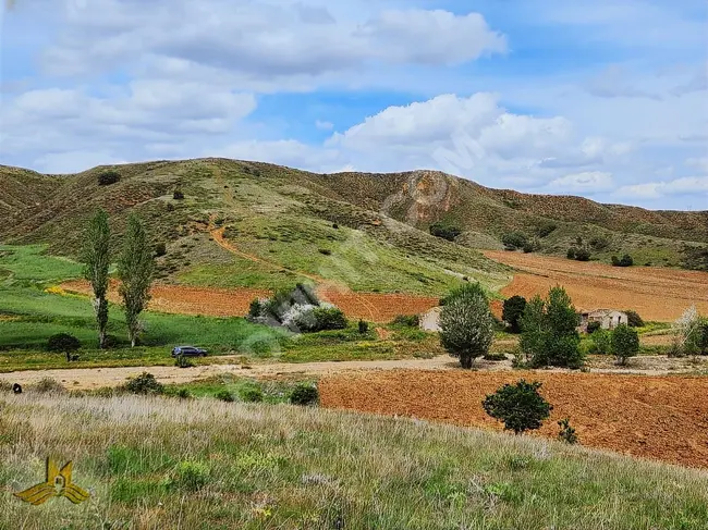 A 1401 square meter agricultural land, providing electricity, water, and access in KIRIKKALE KESKİN EROĞLU MAH