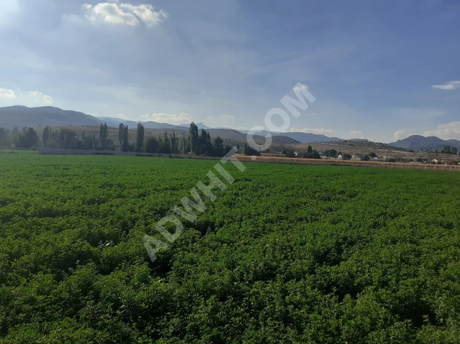 Investment land in the town of Solon in Afyon