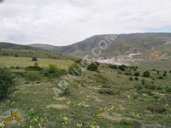 A farmland including electricity, water, and a road with an area of 39,224 square meters in Ankara near the center of Kalecik town