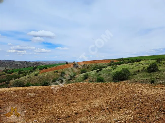 A land area of 8676 square meters for only 360,000 Turkish lira in Kırıkkale, Eroğlu neighborhood