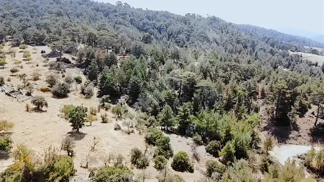 A fruit garden with an area of 16,868 square meters in the Uzunçam area of Aydin Nazilli, has water