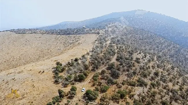 A field on Road 12.770 m² in Manisa Salihli, Eğecek neighborhood