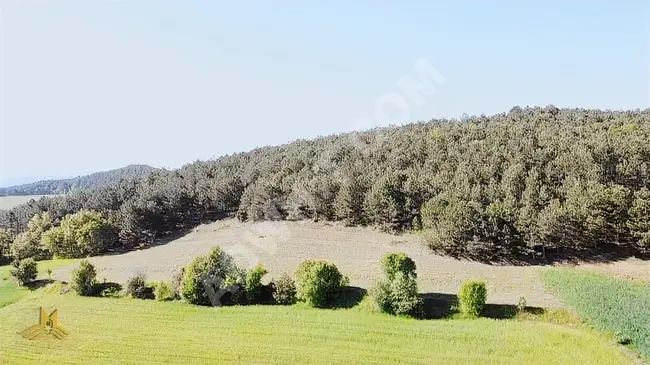 BOLU GÖYNÜK KIZILKUYU MAH. 2035 M2 DOĞA MANZARALI ORMANA CEPHE