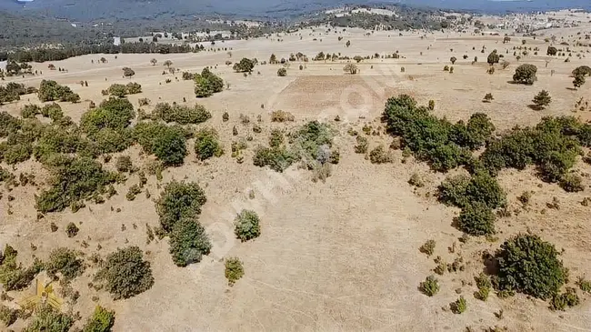 KÜTAHYA MERKEZ ILICA KAPLICALARINA 500 METRE MESAFEDE TARLA