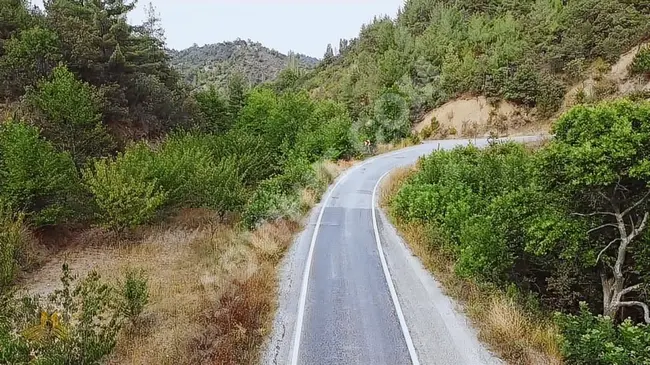 Fruit orchard for sale at a price of 190,000 Turkish Lira in Yarbasan neighborhood, Demirci, Manisa. 1420 m²