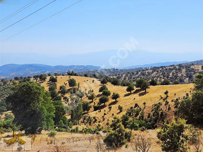 A 44,400 square meter plot with electricity, water, and a road in the UŞAK EŞME DAVUTLAR neighborhood