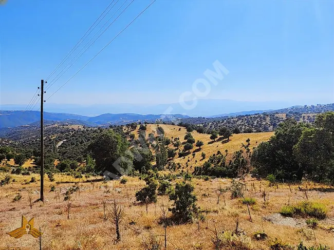 A 44,400 square meter plot with electricity, water, and a road in the UŞAK EŞME DAVUTLAR neighborhood