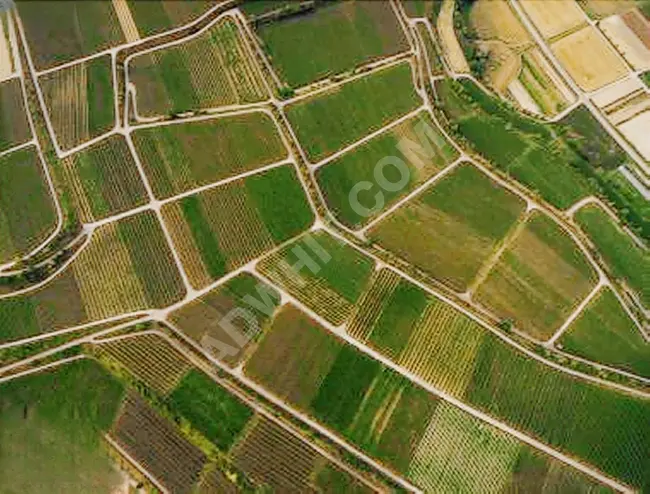 A land with an independent title deed in Tekirdağ, Süleymanpaşa, within walking distance from the village