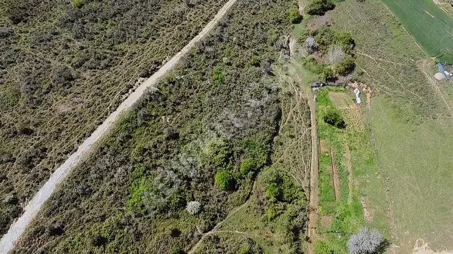 Land beside the highway in the village of OKLALI  in Çatalca