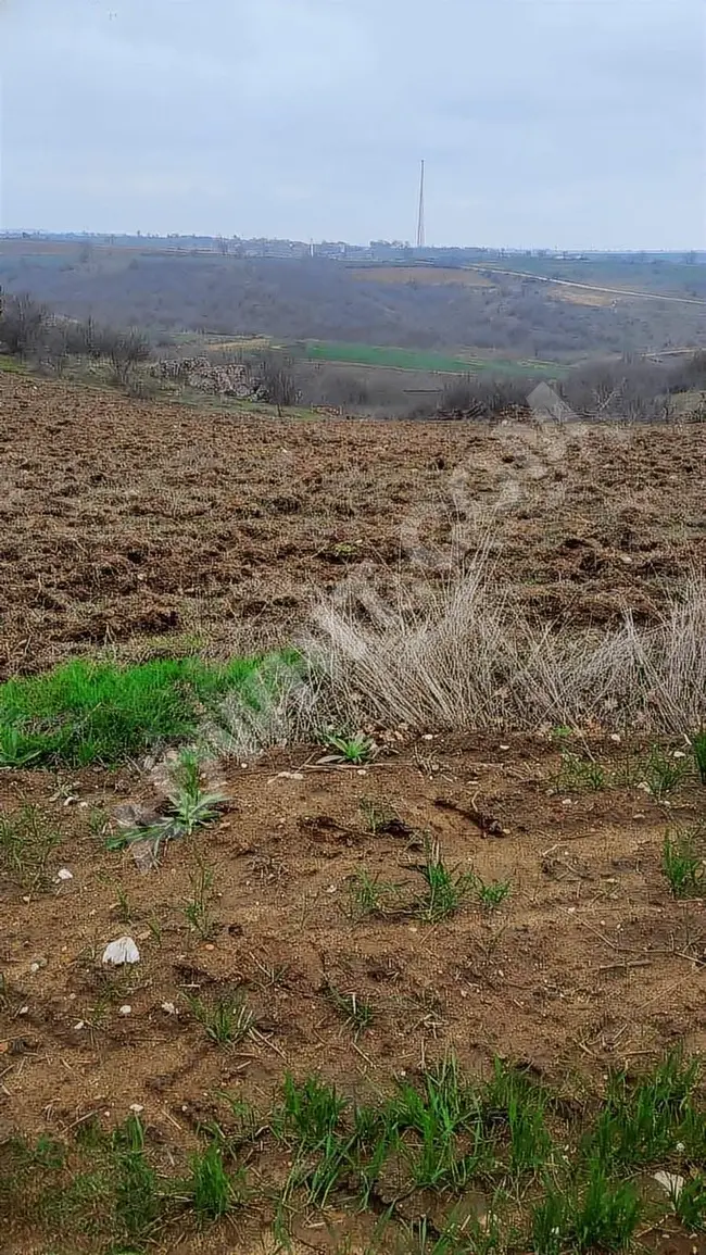 EDİRNE LALAPAŞA UZUNBAYIR KÖYÜNDE MERAYA CEPHE SATILIK TARLA