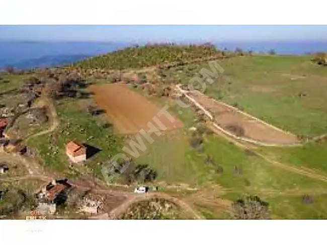 Balıkesir Dursunbey Sarnıç a great investment opportunity agricultural land for sale