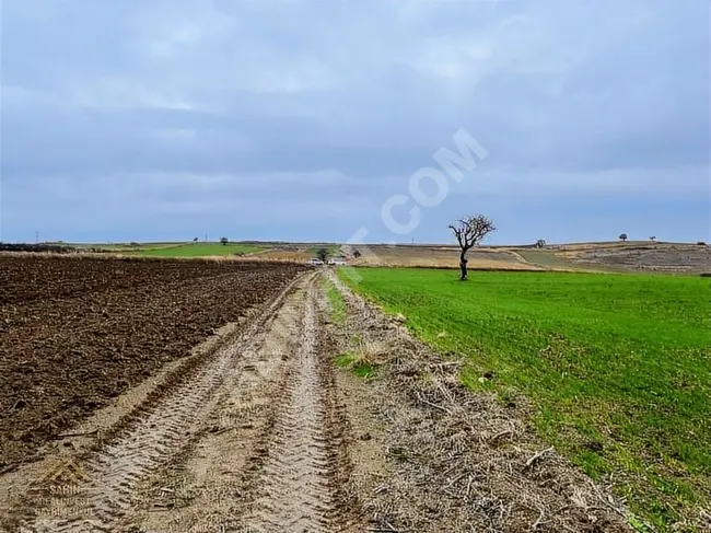 GELİBOLU BOLAYIR DA 552M2 KAPANMAZ BOĞAZ MANZARALI YOLU VAR