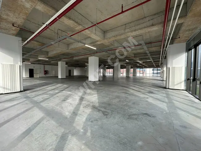 Storage for rent in A class Plaza with an area of 2788 square meters