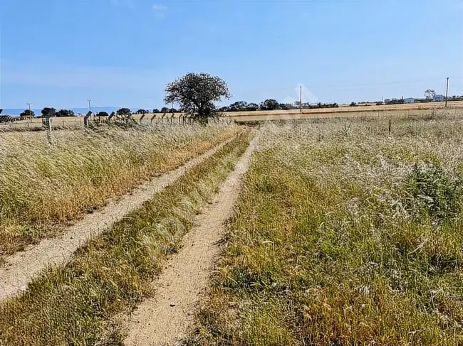 GELİBOLU BOLAYIR SAROZ MANZARALI 633 M2