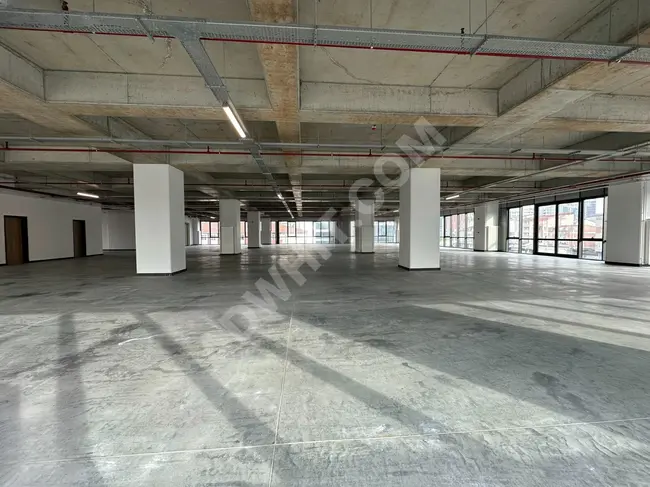 Storage for rent in A class Plaza with an area of 2788 square meters