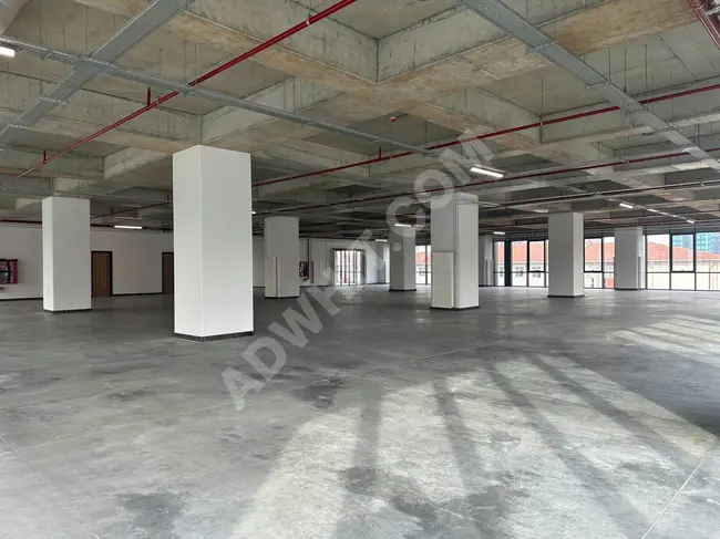 Warehouse for rent and a standard floor with an area of 3734 m² in A Sınıfı Plaza