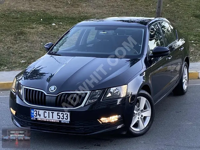 Erciyes" 2019 model diesel automatic OCTAVIA-OPTIMAL DSG clean