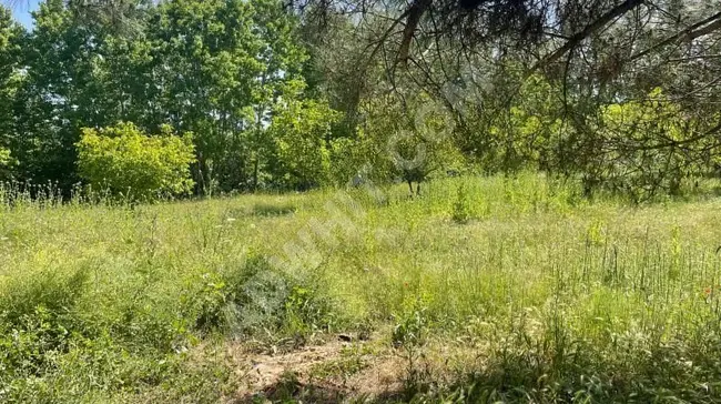 Land for sale with an area of 1123 m² - two pieces of land in Çatalca Kabakça