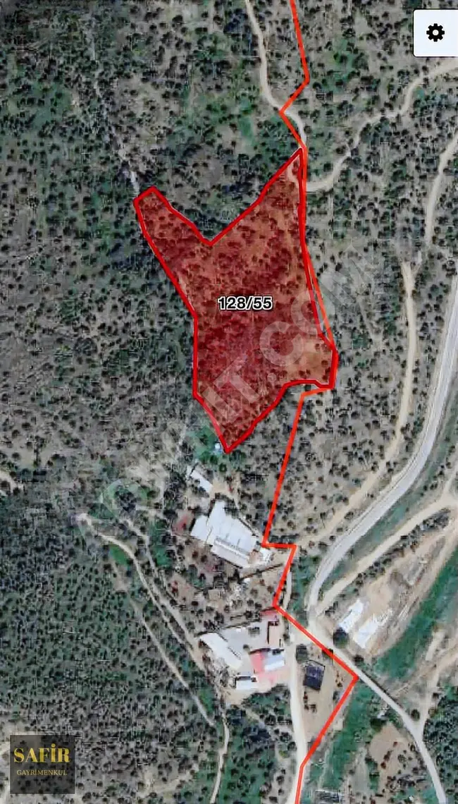 Land for sale with an area of 18200m² (single ownership) planted with olive trees in İZMİR BAYINDIR