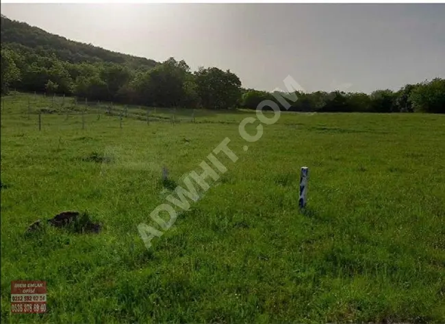 Land for sale within a forest near the highway, suitable for exchange with cars in Istanbul, Silivri, Çeltik