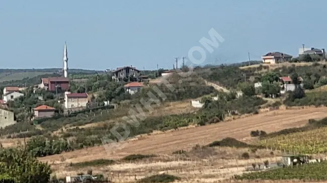 Opportunity for urgent sale: 31 donums in Yeni Koy Village in Catalca from Eliza