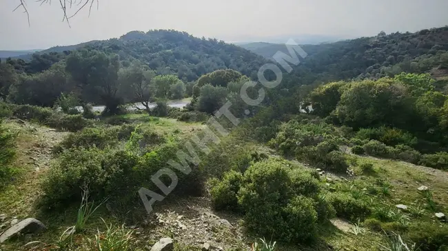 A piece of land with an asphalt frontage, not inclined, and there is urban development nearby in Seferihisar