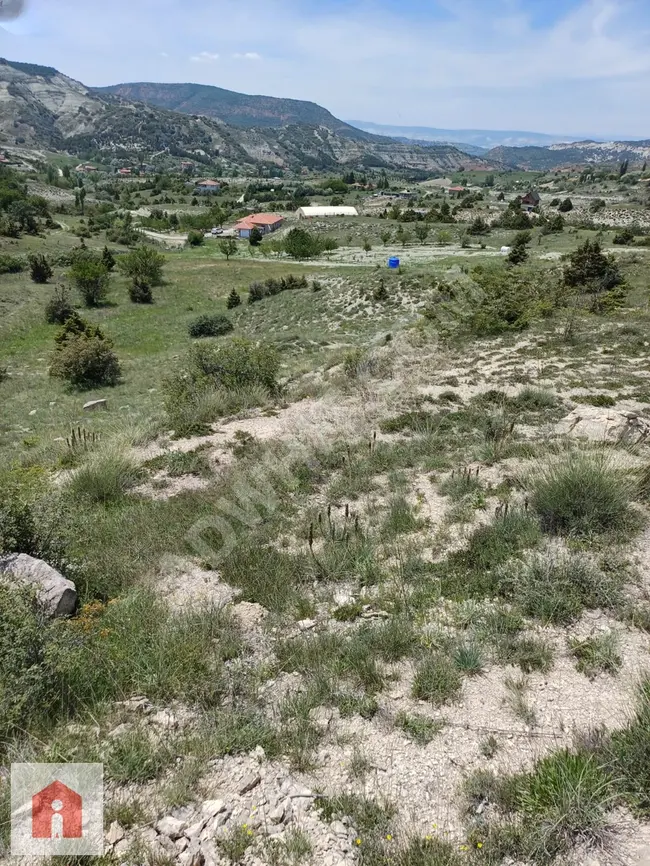 BAĞLUM/ SARI BEYLER / LEZGİ 3127 M2 TEK TAPU