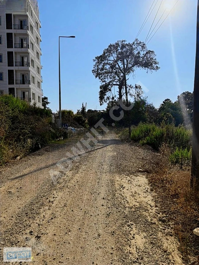 Land for urgent sale, 445 square meters, in ALANYA AVSALLAR