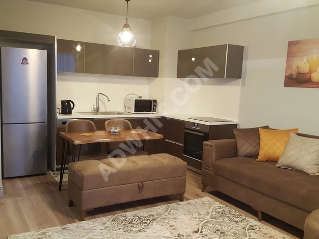 One-bedroom apartment with a living room for monthly rent