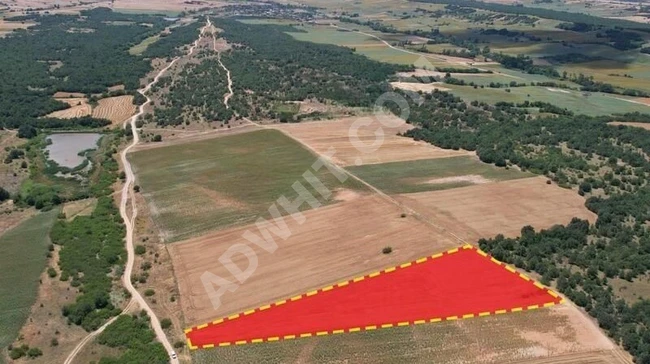 Kırklareli Babaeski müsellim mah de satılık 300m² yatırımlık arsa