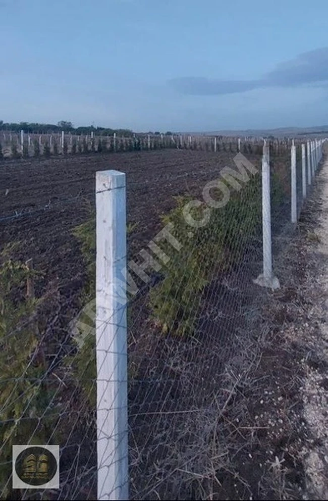 Opportunity to sell agricultural land with an area of 920 square meters in SİLİVRİ FENERKÖY