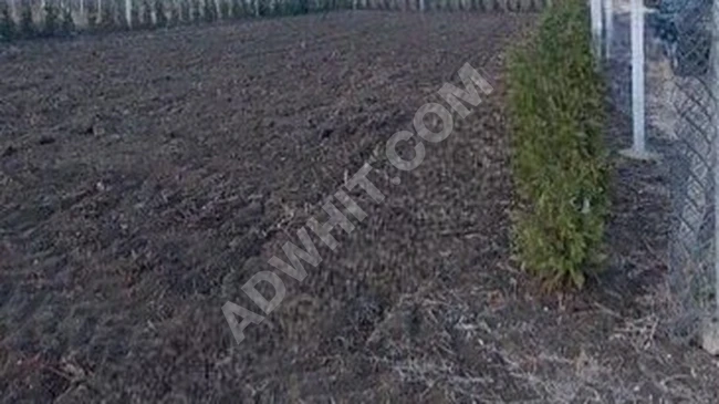 Opportunity to sell agricultural land with an area of 920 square meters in SİLİVRİ FENERKÖY