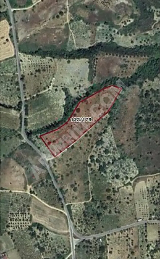 An orchard with an area of 9,300 square meters in the Çınarlı Şarköy Tekirdağ area