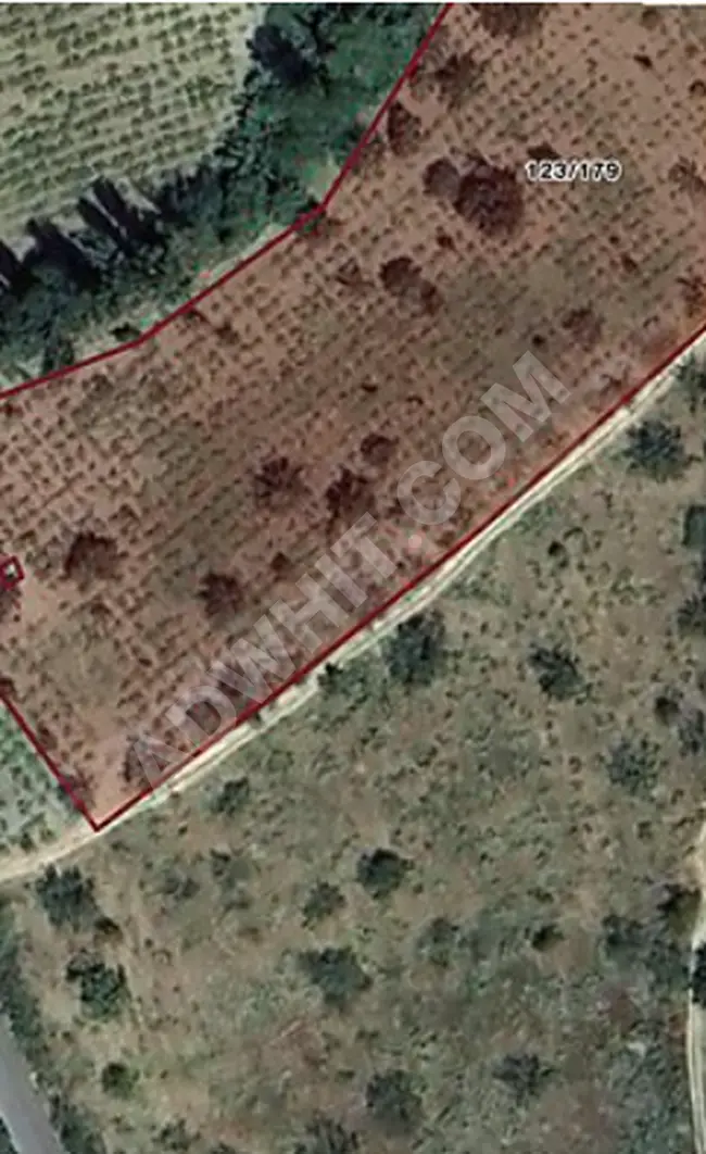 An orchard with an area of 9,300 square meters in the Çınarlı Şarköy Tekirdağ area