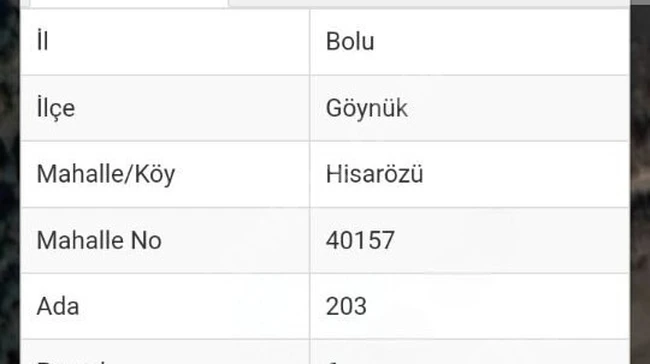 Bolu Göynük hisarözü 3.850 m2 yatırımlık arsa