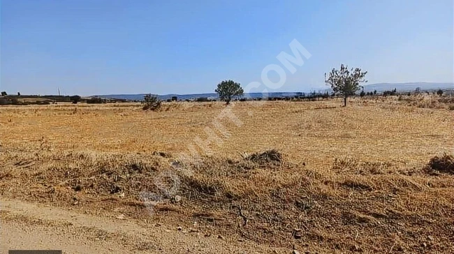 Agricultural land with an area of 3200 square meters on the paved road in the village of BAYRAMIÇ, GELİBOLU