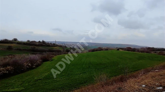 A piece of land measuring 22,900 square meters located on the D100 highway in Tekirdağ, with a frontage of 150 meters